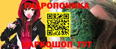 ALPHA PVP Ачхой-Мартан