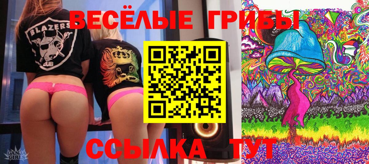 где купить наркотик  Галлюциногенные грибы мухоморы  Псилоцибиновые грибы мицелий  Вход с VPN  Саянск 